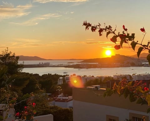 Sunset view over water with flowering vines, white buildings, and mountains in the distance